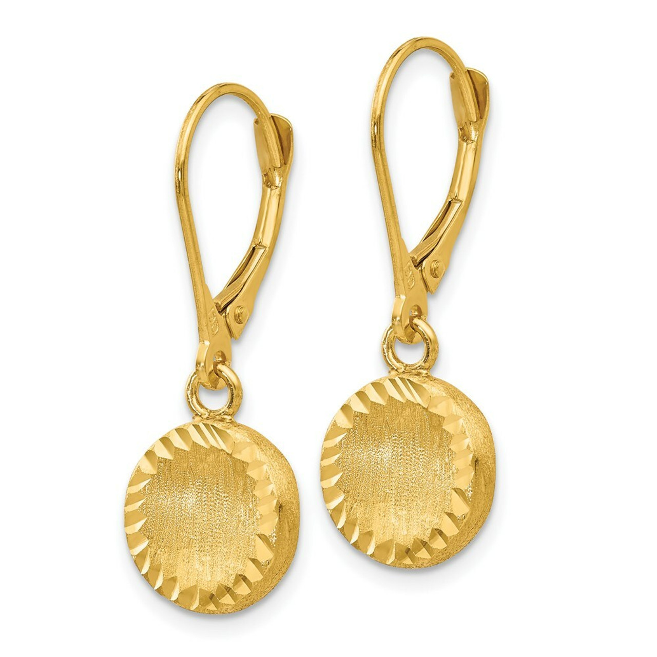 14K Yellow Gold Brushed Polished & Diamond-cut Circle Leverback Earrings - (B40-933)
