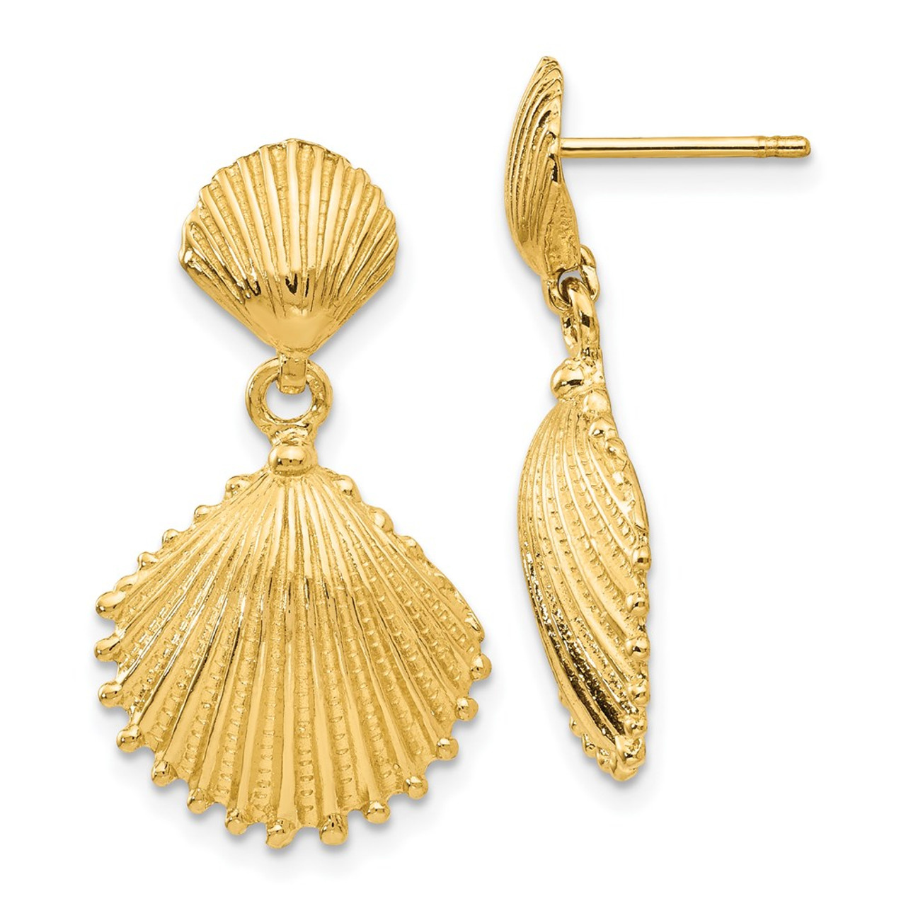 Gold Clam Shell Earrings | Citrus Reef