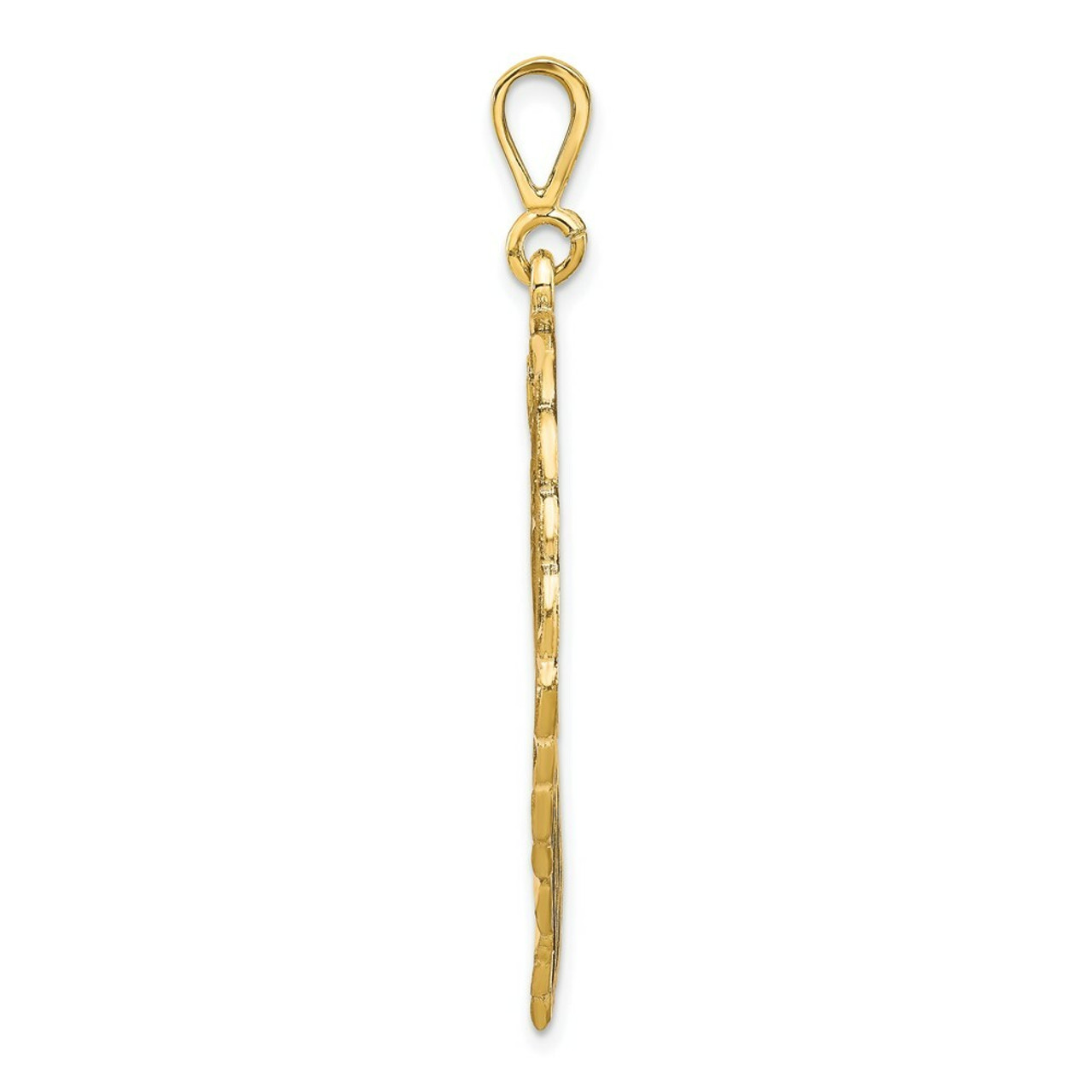 10K Yellow Gold Solid Diamond-cut Lions Head Charm - (A81-981)
