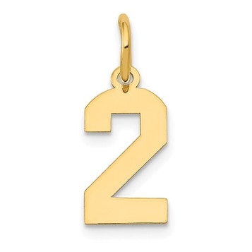 14K Yellow Gold Small Polished Number 2 Charm Pendant - (A86-457)
