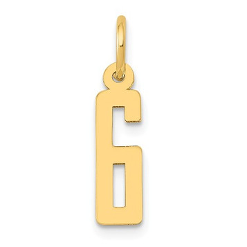 14K Yellow Gold Small Polished Elongated 6 Charm - (A86-341)