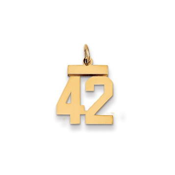 14k Yellow Gold Small Polished Number 42 Charm Pendant - (A87-817)