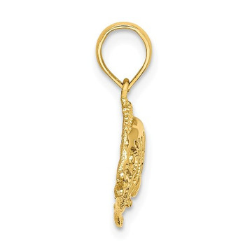 14K Yellow Gold 2-D Polished and Textured Lion Fish Charm Pendant