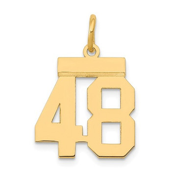 14k Yellow Gold Small Polished Number 48 Charm Pendant - (A86-302)