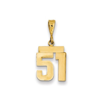 14k Yellow Gold Small Polished Number 51 Charm - (B22-759)