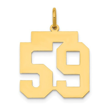 14k Yellow Gold Medium Polished Number 59 Charm Pendant - (A87-834)