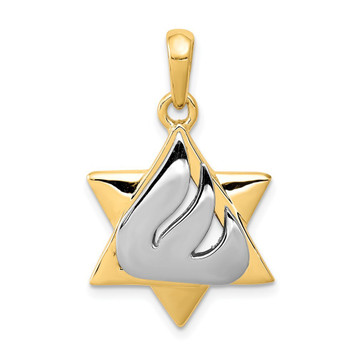 14K Two-tone Gold Star of David Pendant 30mm length - (A84-731) 14K Two-tone Gold Star of David Pendant 30mm length - (A84-731)