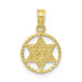 10K Yellow Gold Star of David In Circle Frame Pendant - (A88-321) 10K Yellow Gold Star of David In Circle Frame Pendant - (A88-321)