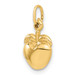 14K Yellow Gold Apple Charm - (A83-154)