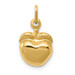 14K Yellow Gold Apple Charm - (A83-154)