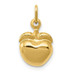 14K Yellow Gold Apple Charm - (A83-154)