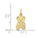 10K Yellow Gold Teddy Bear Charm - (A86-647) 10K Yellow Gold Teddy Bear Charm - (A86-647)