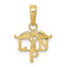14K Yellow Gold LPN Symbol Pendant - (A85-245)