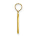 10K Yellow Gold Polished V Script Initial Charm Pendant - (A88-842)
