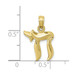 10K Yellow Gold Chai Pendant - (A88-869) 10K Yellow Gold Chai Pendant - (A88-869)