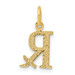 14K Yellow Gold Prescription Symbol RX Charm - (A83-194) 14K Yellow Gold Prescription Symbol RX Charm - (A83-194)
