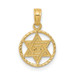 14K Yellow Gold Star of David In Circle Frame Pendant - (A83-721) 14K Yellow Gold Star of David In Circle Frame Pendant - (A83-721)