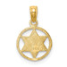 14K Yellow Gold Star of David In Circle Frame Pendant - (A83-721) 14K Yellow Gold Star of David In Circle Frame Pendant - (A83-721)