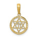 14K Yellow Gold Star of David and Chi In Circle Pendant - (A83-785) 14K Yellow Gold Star of David and Chi In Circle Pendant - (A83-785)
