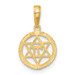 14K Yellow Gold Star of David and Chi In Circle Pendant - (A83-785) 14K Yellow Gold Star of David and Chi In Circle Pendant - (A83-785)