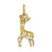 14K Yellow Gold Polished Open-Backed Deer Charm - (A84-677) 14K Yellow Gold Polished Open-Backed Deer Charm - (A84-677)
