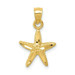14K Yellow Gold Starfish Pendant 20mm length - (A85-457)