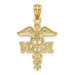 14K Yellow Gold Diamond-cut Polished RN Nurse Pendant - (A86-189)