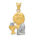 14K Yellow Gold Two-tone Satin & Polished Diamond-cut Boy Communion Pendant - (A87-337) 14K Yellow Gold Two-tone Satin & Polished Diamond-cut Boy Communion Pendant - (A87-337)
