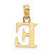 14K Yellow Gold Polished E Block Initial Charm Pendant - (A91-255) 14K Yellow Gold Polished E Block Initial Charm Pendant - (A91-255)