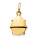 14K Yellow Gold Red Enameled Ladybug Charm - (A98-852) 14K Yellow Gold Red Enameled Ladybug Charm - (A98-852)