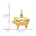 14K Yellow Gold Pig Charm - (A98-886)