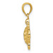 14K Yellow Gold Polished & Textured Small DC Turtle Pendant - (B13-503) 14K Yellow Gold Polished & Textured Small DC Turtle Pendant - (B13-503)