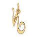 14K Yellow Gold Small Fancy Script Initial Letter N Charm - (B13-550) 14K Yellow Gold Small Fancy Script Initial Letter N Charm - (B13-550)
