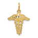 14K Yellow Gold Caduceus Charm - (A82-480)