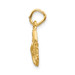 14K Yellow Gold Pisces Zodiac Charm - (A83-899)
