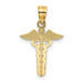 14K Yellow Gold Caduceus Medical Pendant - (A85-485) 14K Yellow Gold Caduceus Medical Pendant - (A85-485)