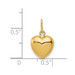 14K Yellow Gold Polished Puffed Heart Pendant - (B14-375)