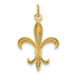 14K Yellow Gold Fleur De Lis Charm - (A82-462) 14K Yellow Gold Fleur De Lis Charm - (A82-462)
