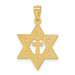14K Yellow Gold Diamond-cut Star of David w/Cross Pendant - (A83-572) 14K Yellow Gold Diamond-cut Star of David w/Cross Pendant - (A83-572)