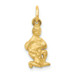 14K Yellow Gold Aquarius Zodiac Charm - (A83-869)