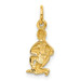 14K Yellow Gold Aquarius Zodiac Charm - (A83-869)