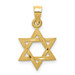 14K Yellow Gold Solid Satin Star of David Charm - (A84-576)
