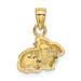 14K Yellow Gold Polished Rabbit Pendant - (A86-223)
