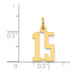 14K Yellow Gold Small Polished Elongated 15 Charm - (A86-403) 14K Yellow Gold Small Polished Elongated 15 Charm - (A86-403)