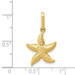 14K Yellow Gold Textured Hollow Starfish Pendant - (B11-859)