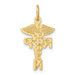 14K Yellow Gold Registered Nurse Practitioner Charm - (A82-978)