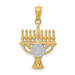 14K Yellow Gold Yellow Gold Rhodium Plated Menorah Pendant - (A83-744) 14K Yellow Gold Yellow Gold Rhodium Plated Menorah Pendant - (A83-744)