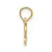 14K Yellow Gold Precious Charm Pendant - (A90-202) 14K Yellow Gold Precious Charm Pendant - (A90-202)