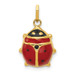 14K Yellow Gold Enameled Ladybug Charm - (A98-816)