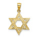 14K Yellow Gold Solid Satin Star of David Charm - (B11-465) 14K Yellow Gold Solid Satin Star of David Charm - (B11-465)